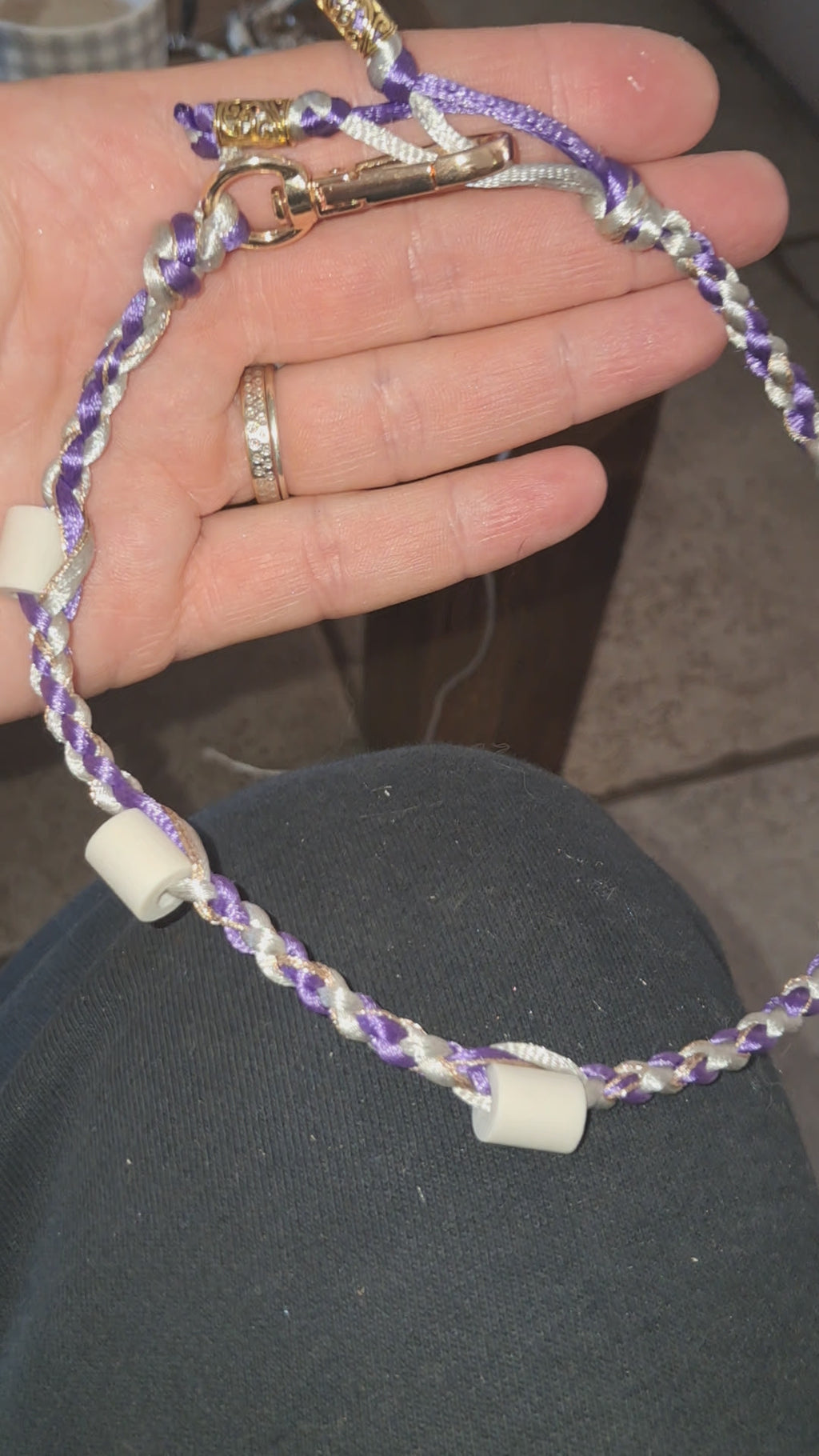 Collier anti-tiques chiens