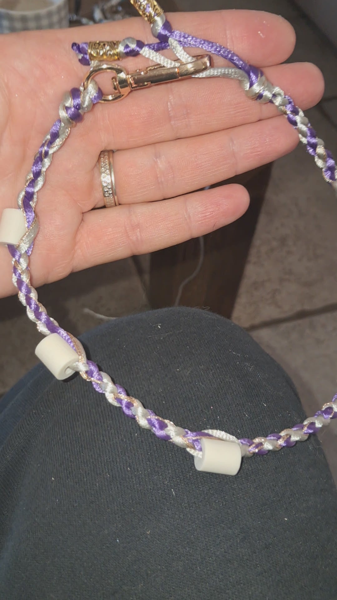 Collier anti-tiques chiens