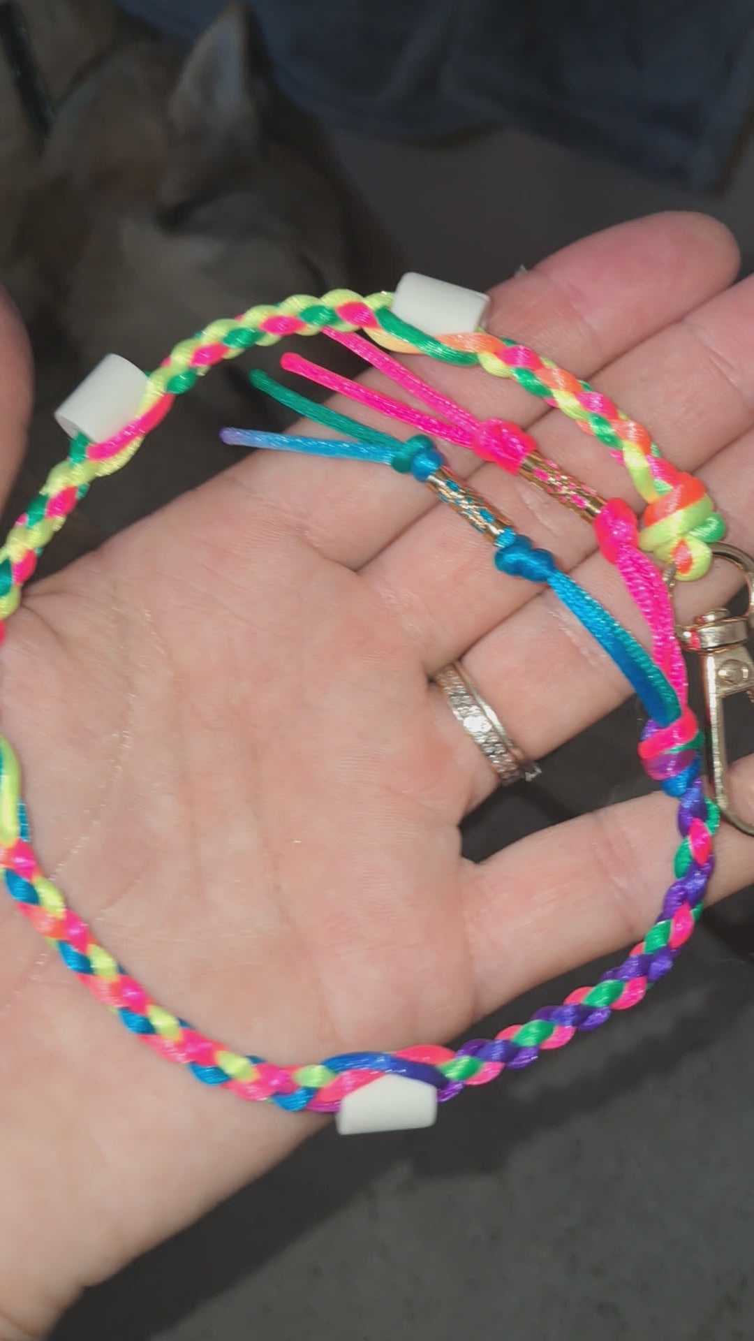 Collier anti-tiques chiens