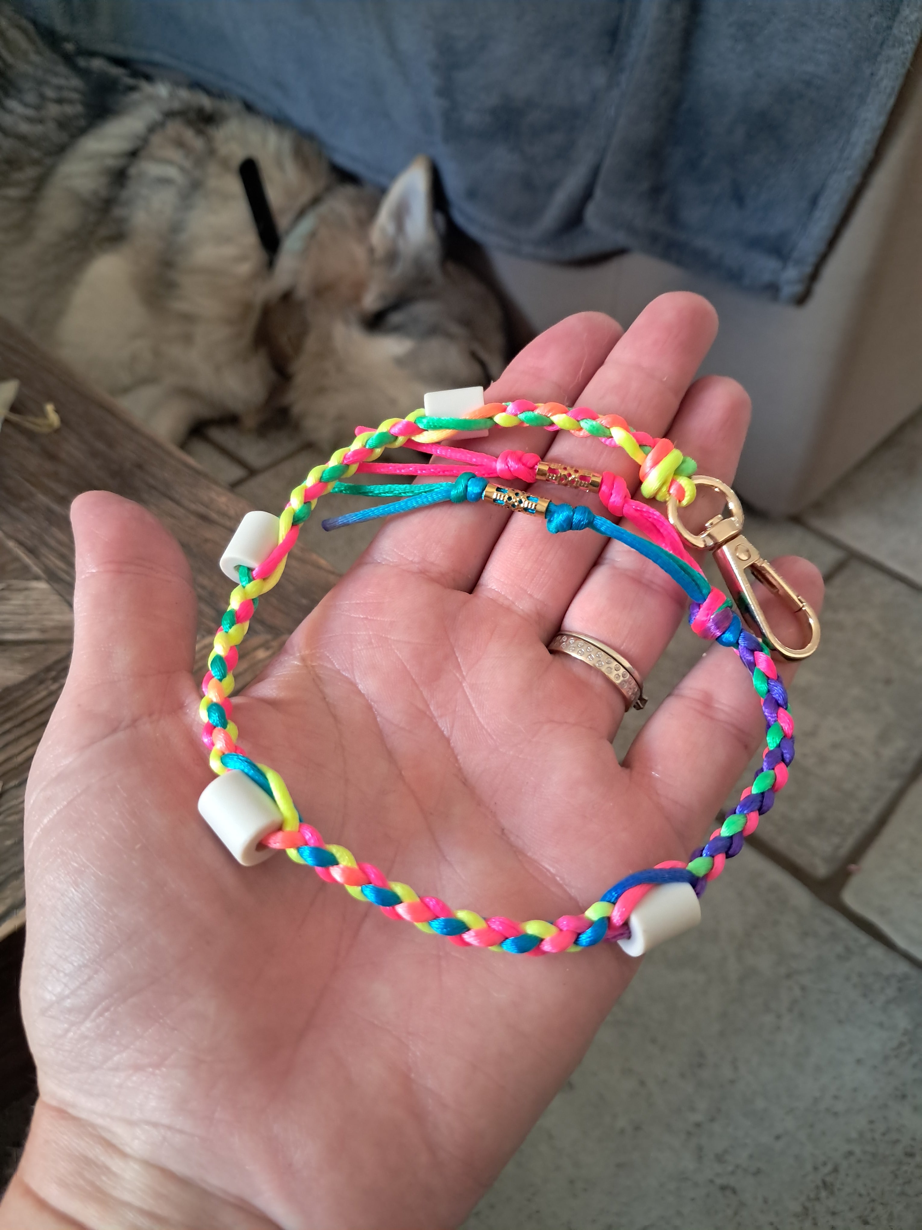 Collier anti-tiques chiens