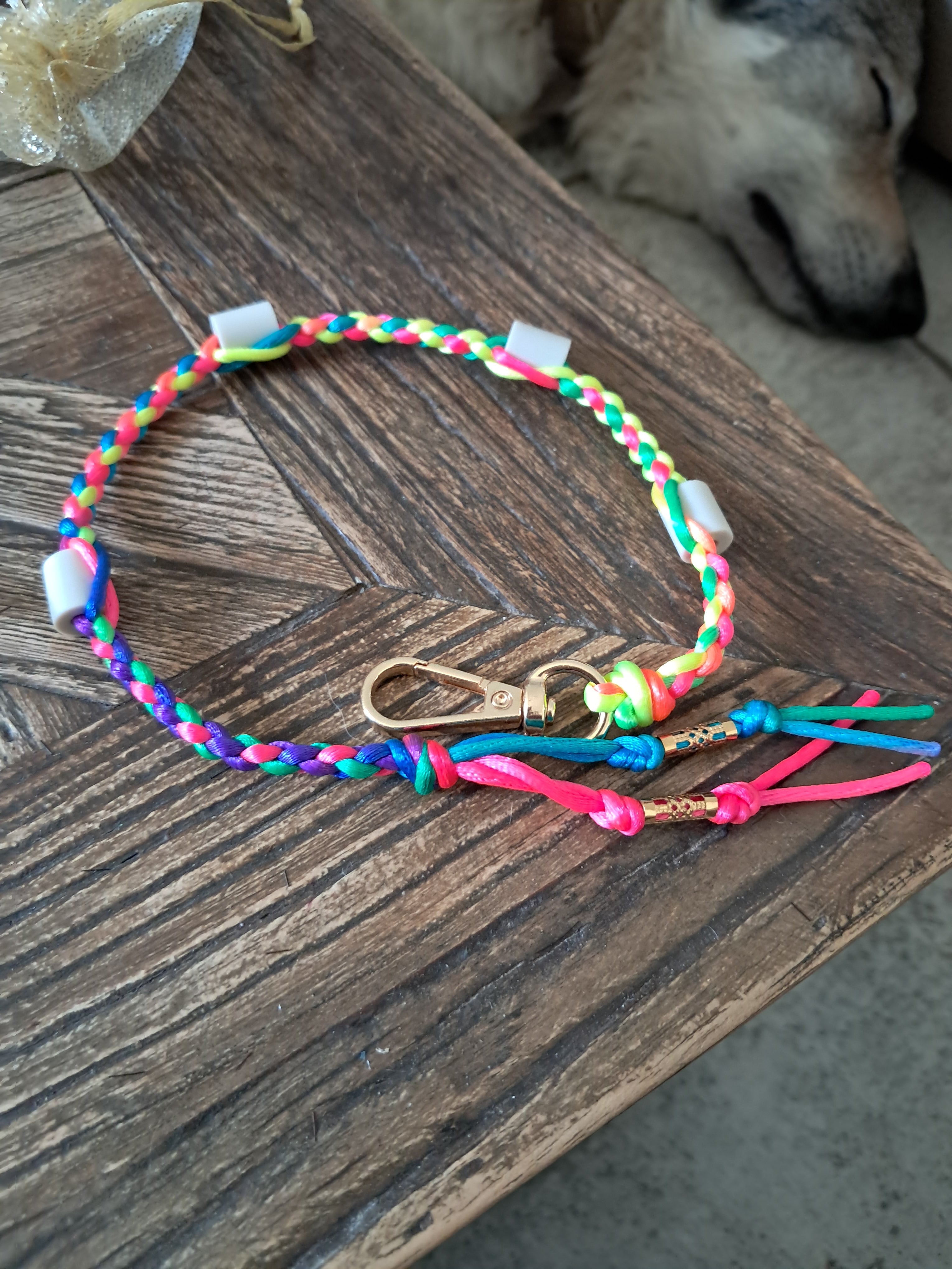 Collier anti-tiques chiens